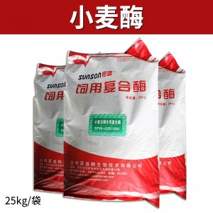 小麦酶 - 25kg/袋