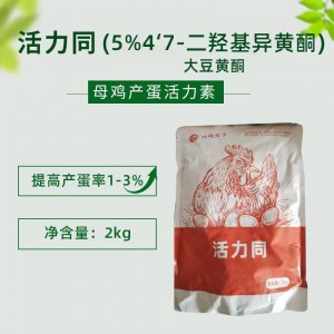 活力同-- 母鸡产蛋活力素 -- 2kg