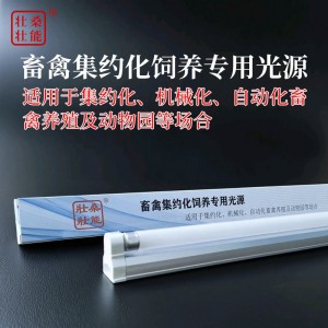 畜禽集约化饲养专用光源